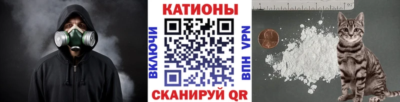 МЯУ-МЯУ мяу мяу  Темников 