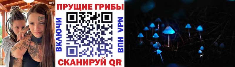 Галлюциногенные грибы мицелий  omg зеркало  Темников 