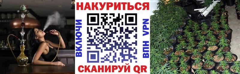 Конопля конопля Темников